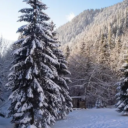 La De Terre Blanche Séjour chez l'habitant *